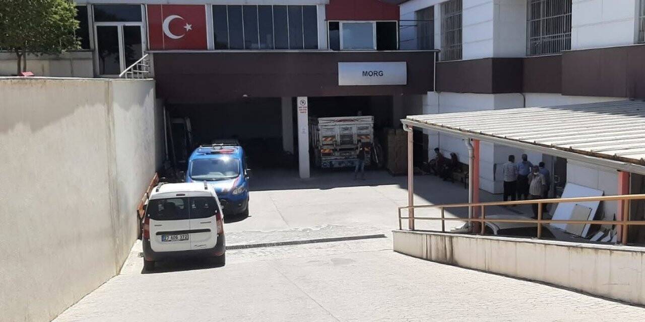 Traktör devrildi: 1 ölü, 1 yaralı
