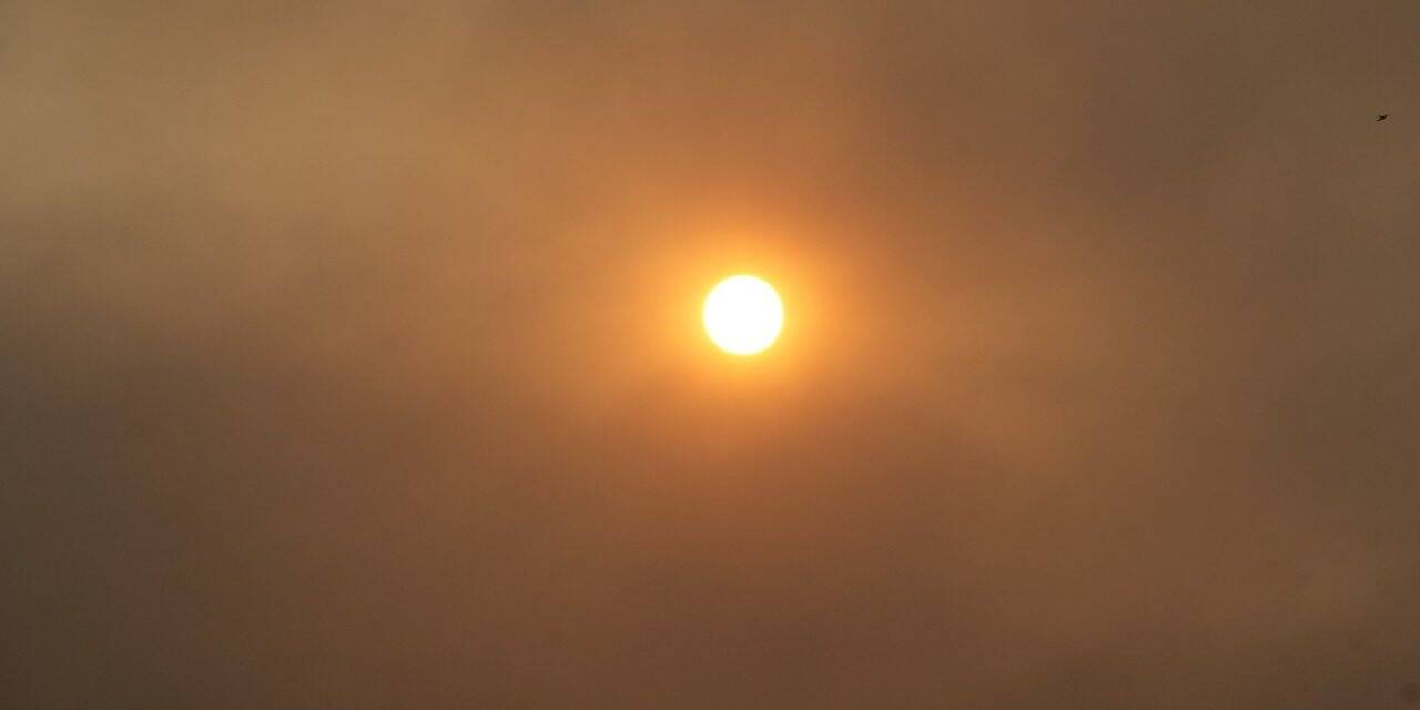 İzmir, sarı bir sabaha uyandı