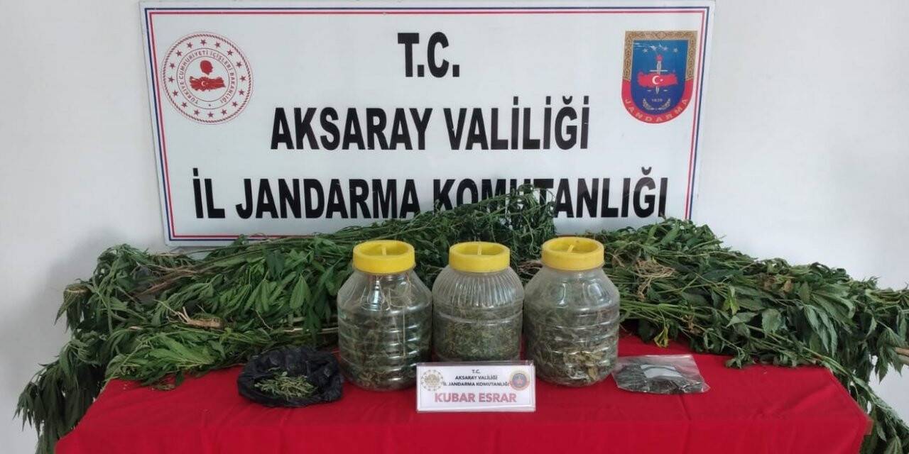 Jandarmadan köy evine kenevir operasyonu