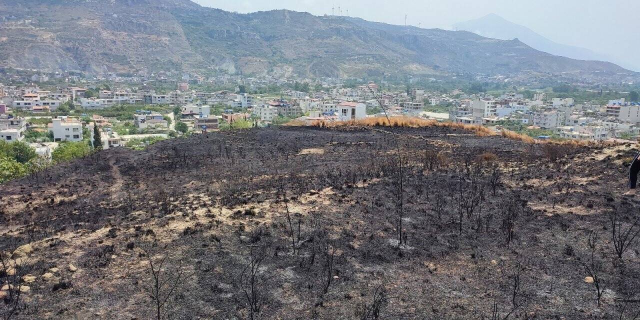 Samandağ’da otluk alanda çıkan yangın kontrol altına alındı