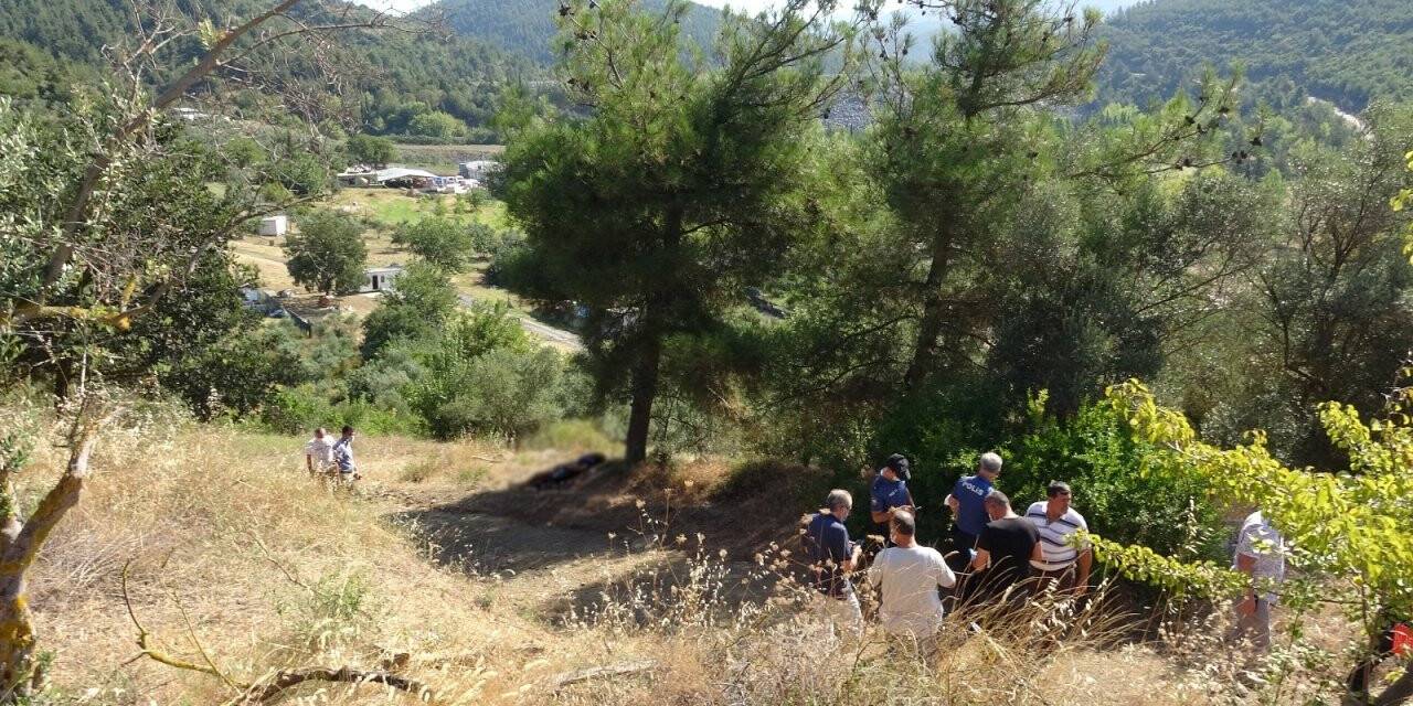 Koyunlarını otlatırken ceset buldu
