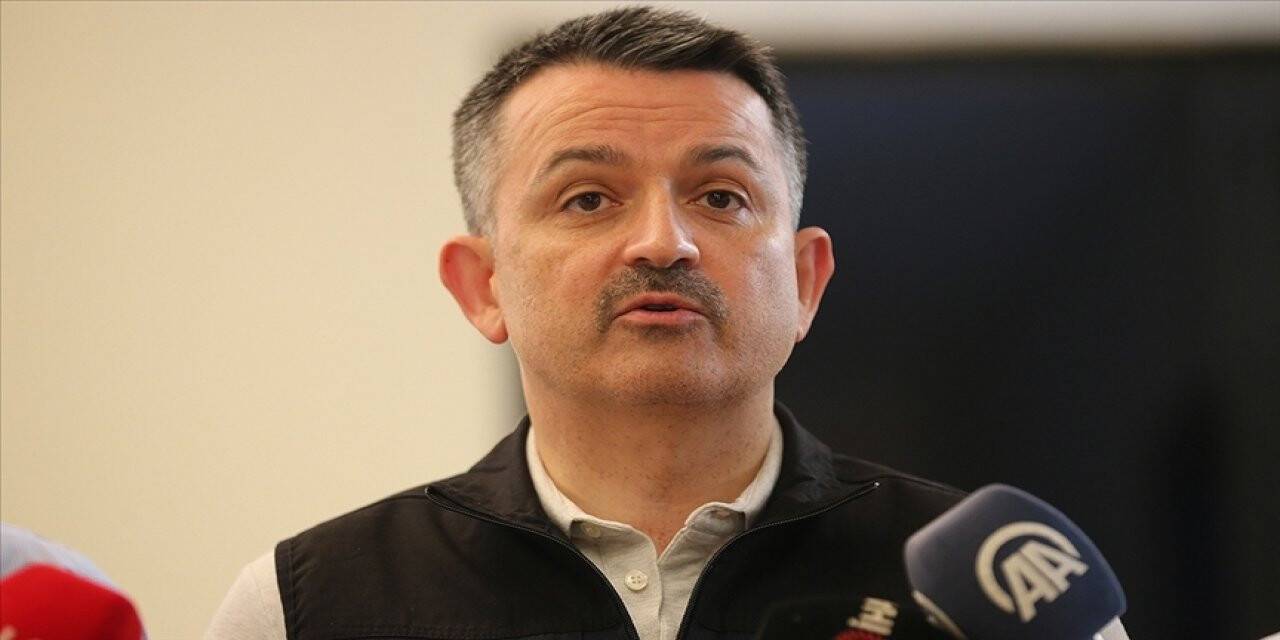 Milas ve Köyceğiz dışındaki tüm yangınlar kontrol altına alındı