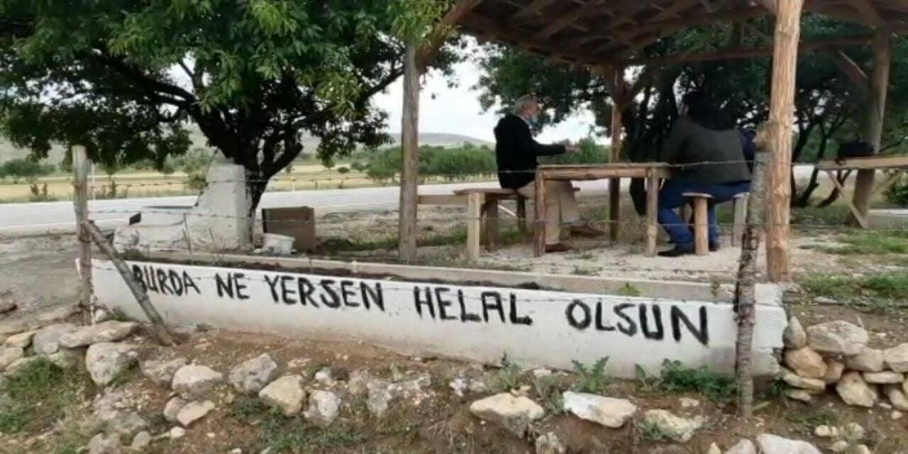 Buda sebil meyve bahçesi