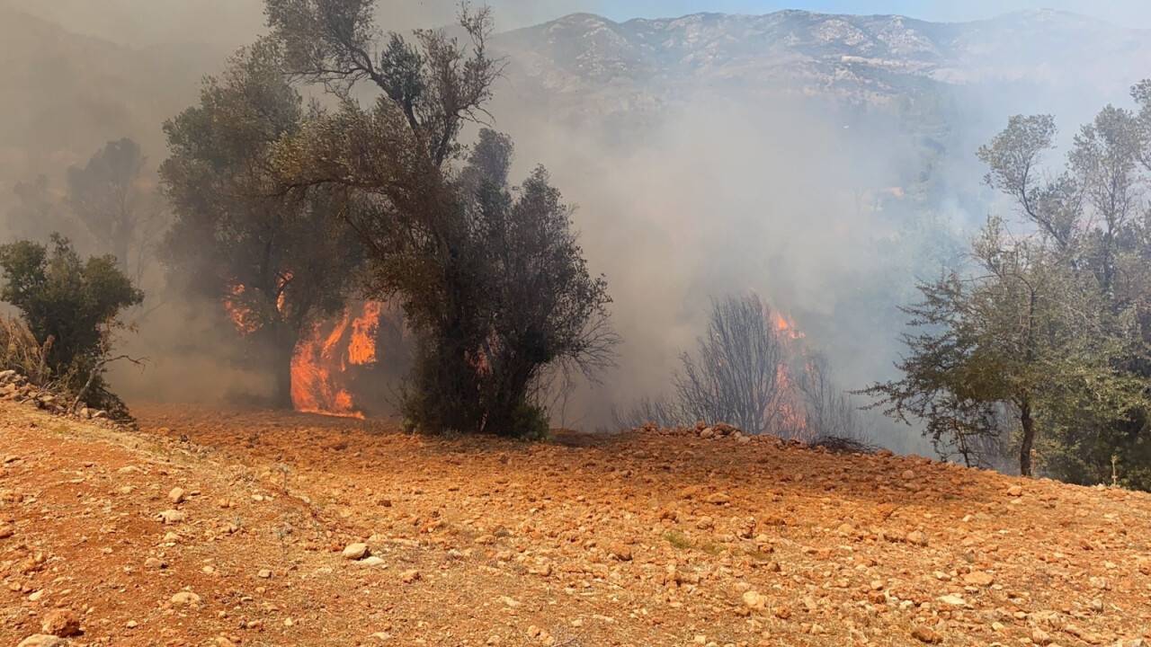 Seydikemer’de bir yangın daha