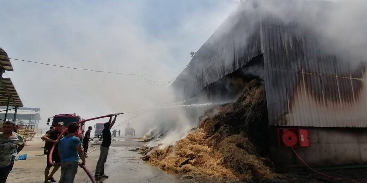 150 ton saman yangında küle döndü