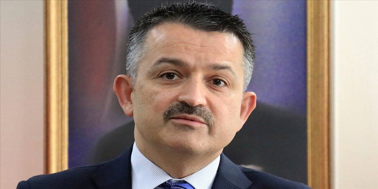 Bekir Pakdemirli: Yangınla mücadele eylem planlarımız yenileniyor