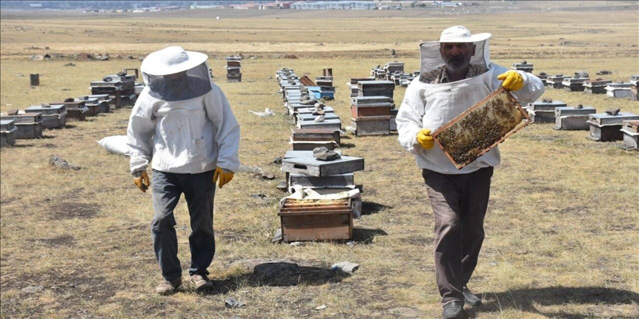Kuraklık Doğu Anadolu'da bal verimini düşürdü
