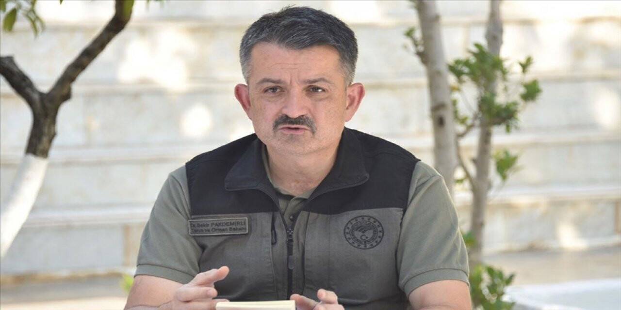Tarım ve Orman Bakanı Pakdemirli: Köyceğiz yangınında yerleşim yerlerine tehdidi ortadan kaldırdık
