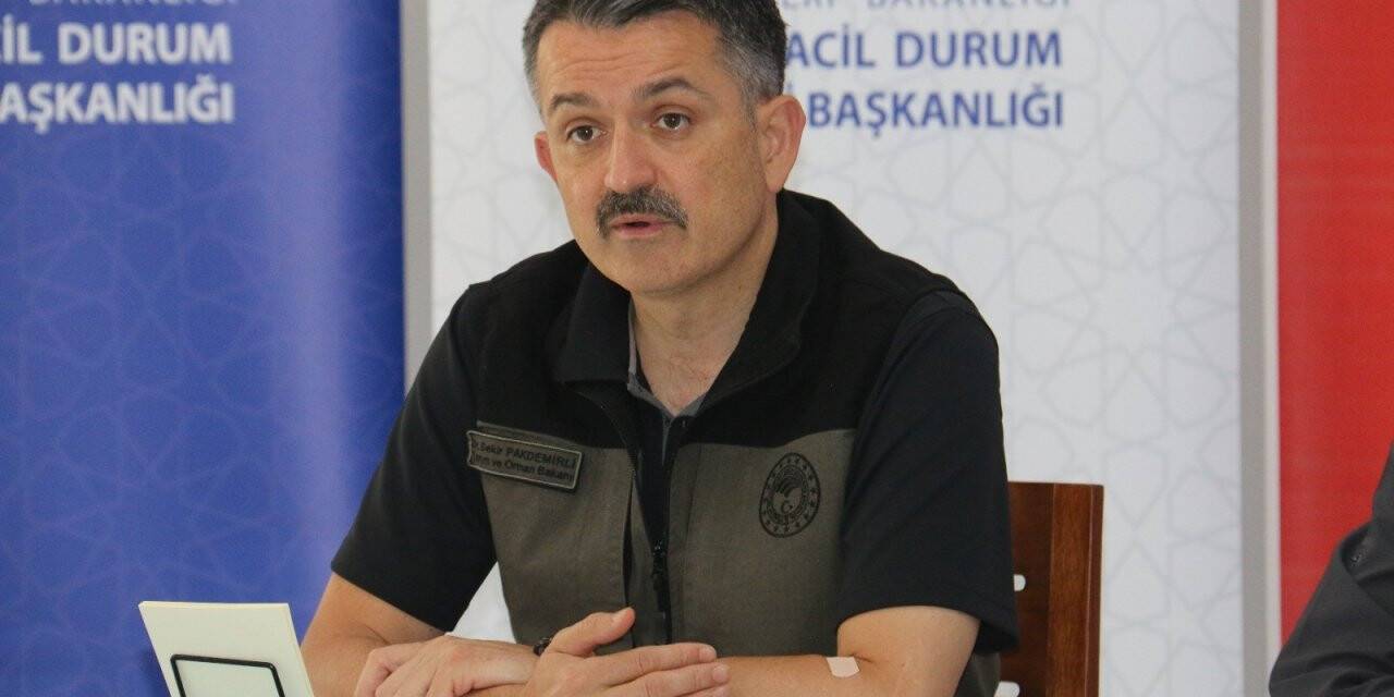 Bakan Pakdemirli: Köyceğiz yangını kontrol altına alındı