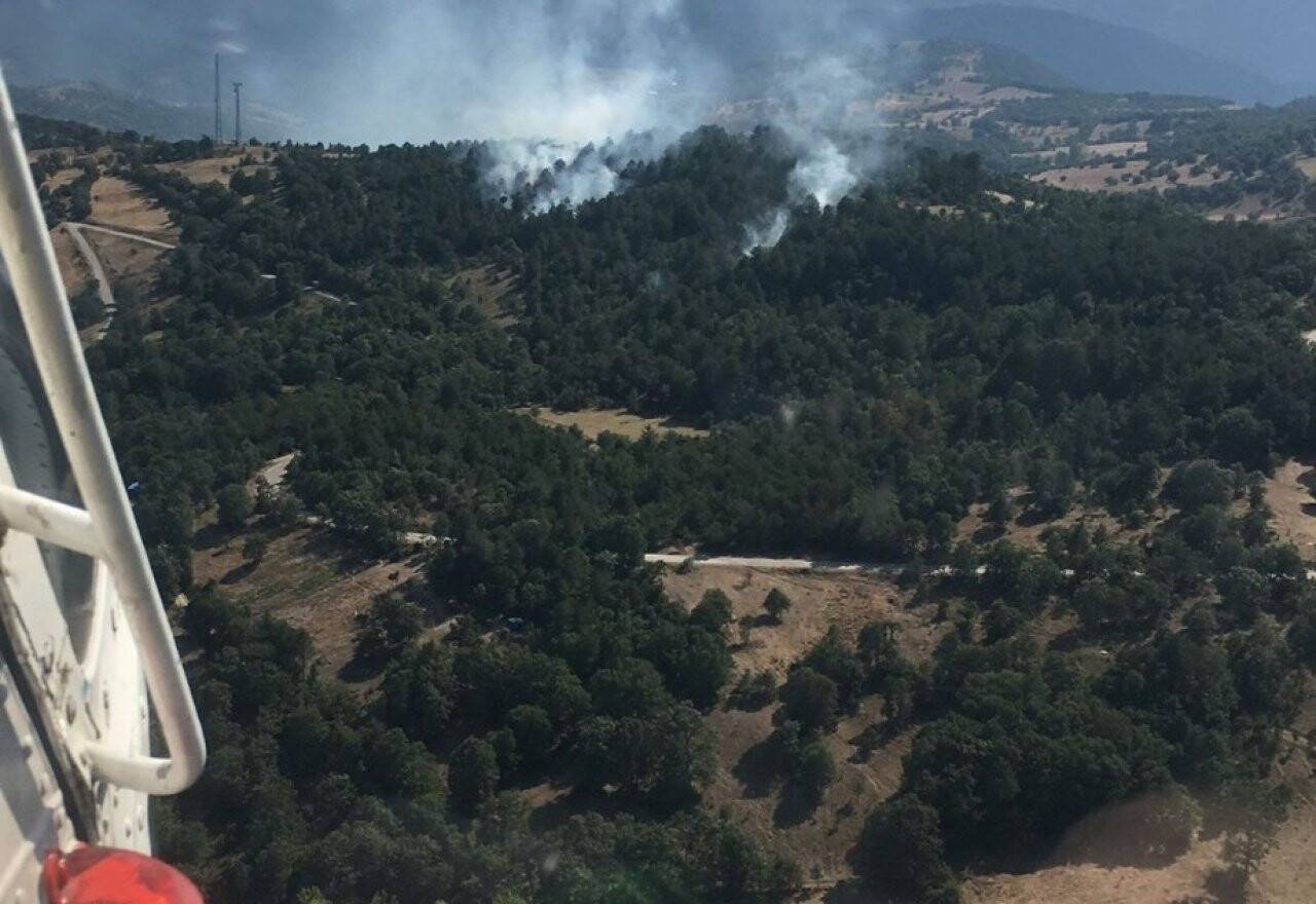 Bursa’da orman yangını