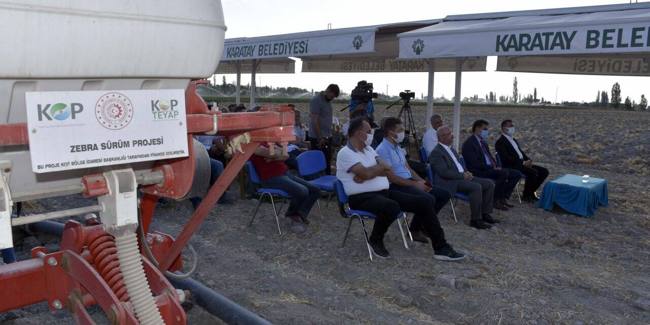 ‘Şeritvari’ Sürüm Tekniği Tanıtıldı