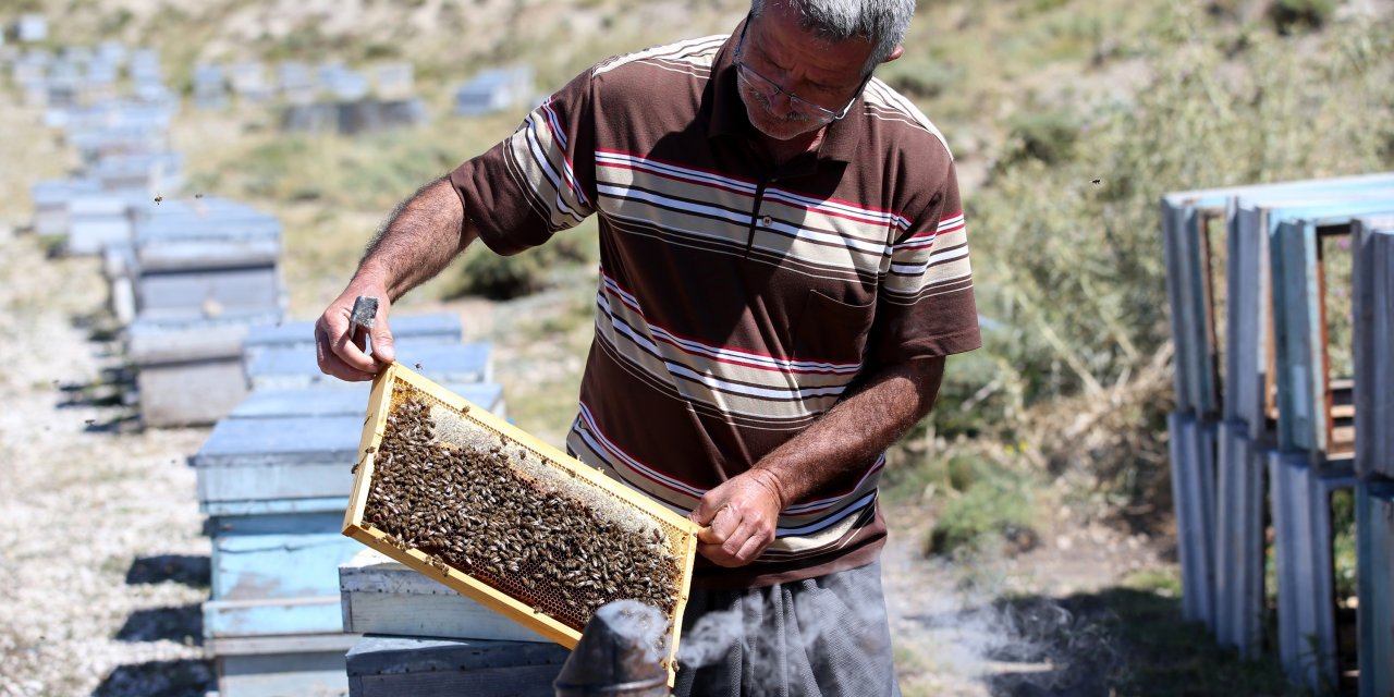 Kaliteli bal için arılarıyla 30 yıldır şehir şehir geziyor
