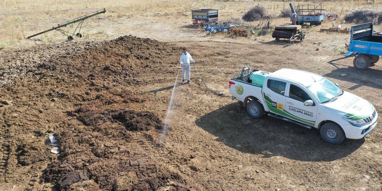 Konya Büyükşehir’in haşereyle etkin mücadelesi sürüyor