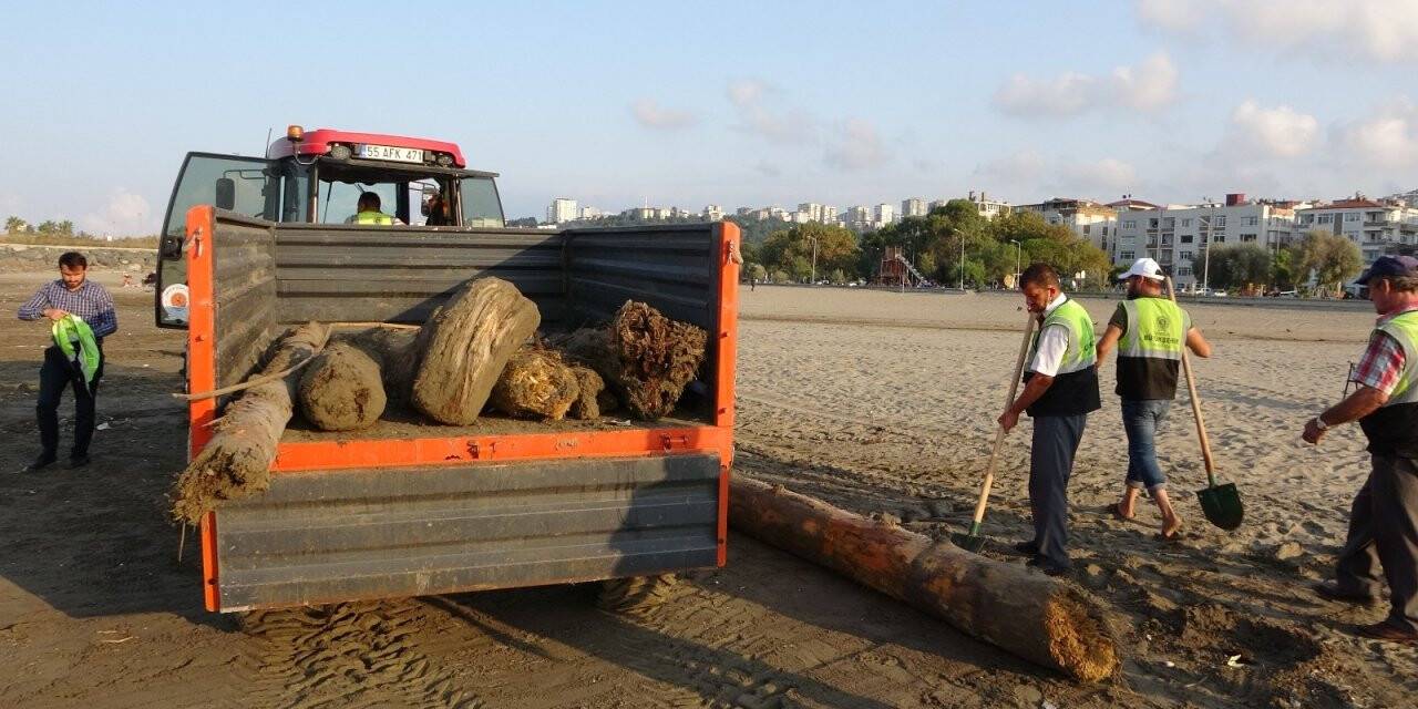 O tomruklar Samsun sahillerinde: 200 km sürüklendiler