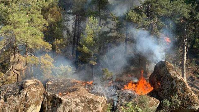 Muğla ve Aydın'daki yangınlar kontrol altında