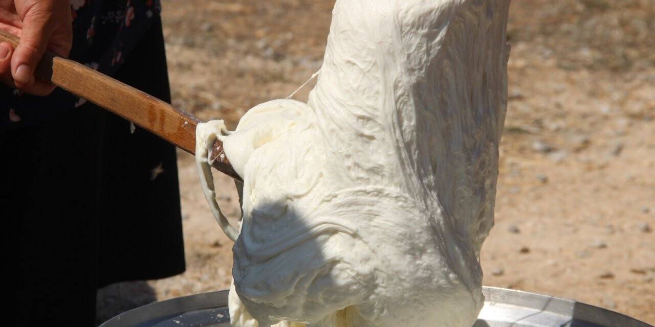Konya'da kadınlar el ele verip 8 çeşit peynir üretti