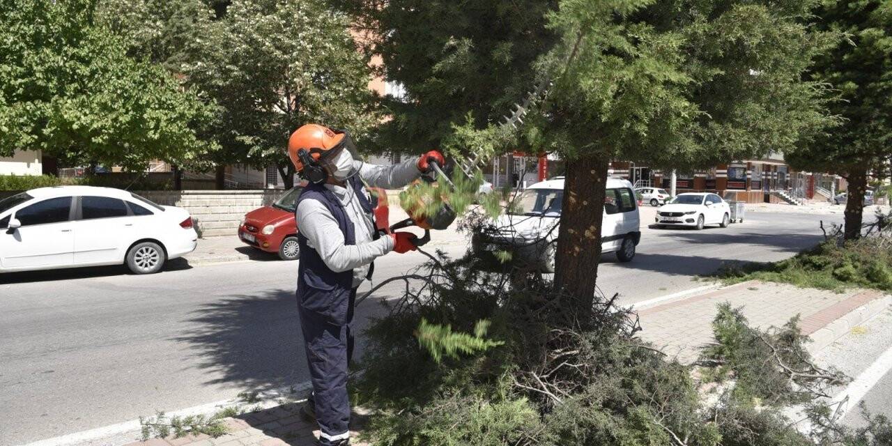 Selçuklu Belediyesinde ağaç budama mesaisi