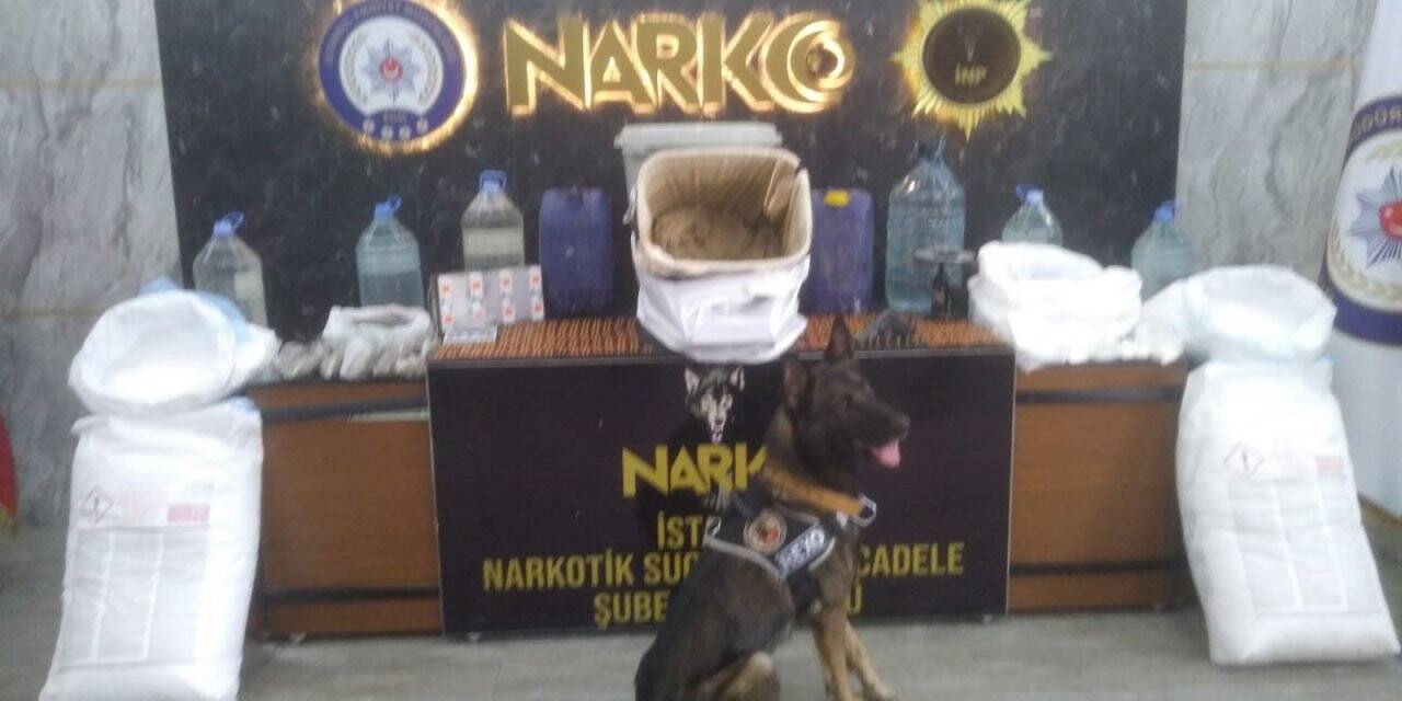 Narkotik polisinde sokak satıcılarına operasyon