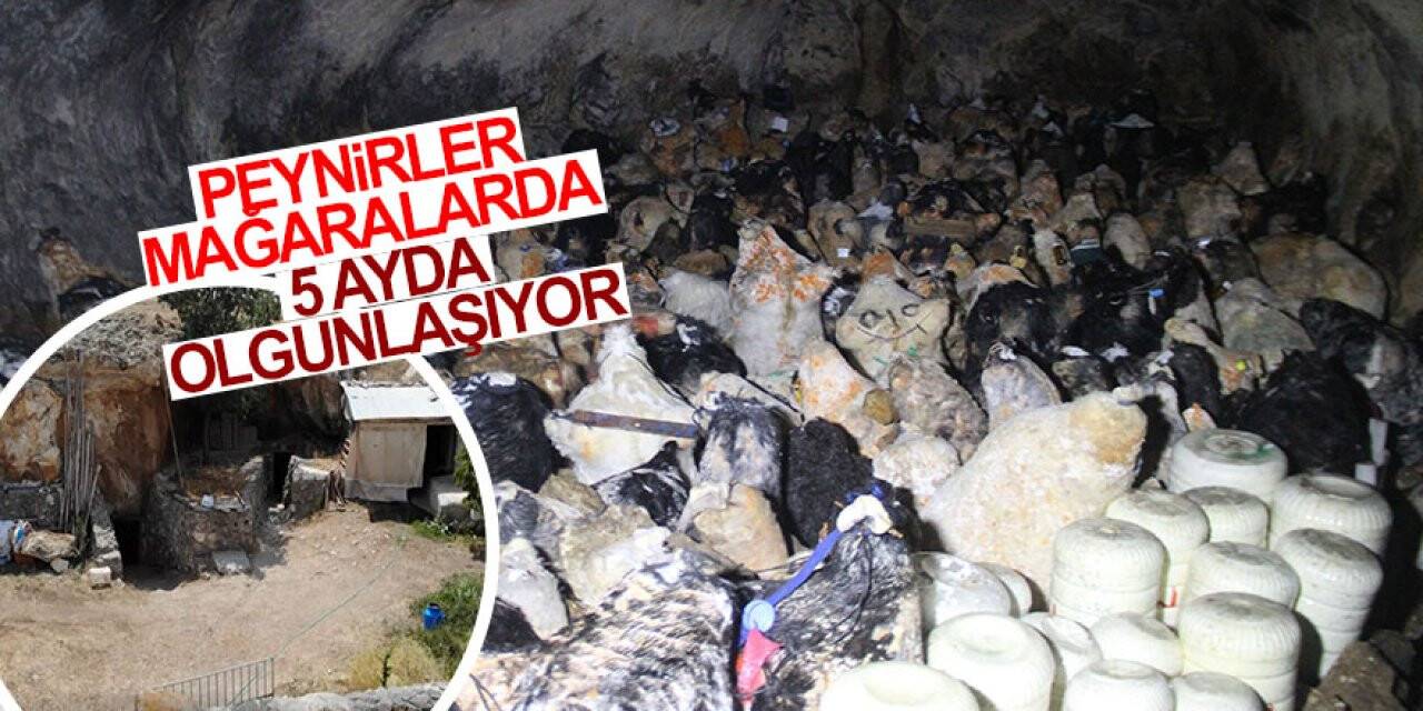 Konya'da deri tulumlardaki peynirler mağaralarda 5 ayda olgunlaşıyor