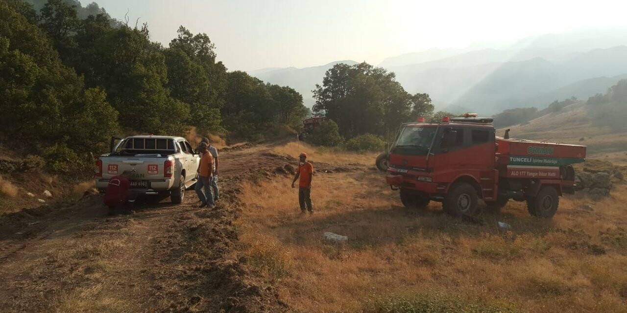 Ülke genelindeki 6 orman yangını kontrol altında