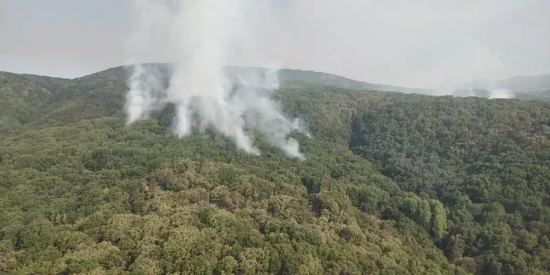 Yangınlara müdahale devam ediyor