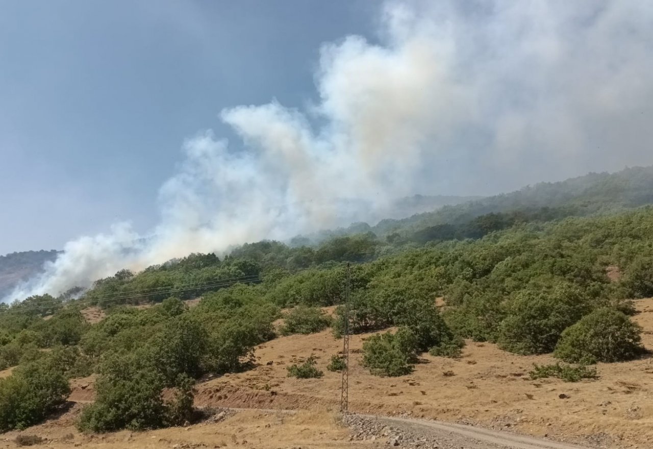 Bingöl’deki orman yangınına müdahale sürüyor