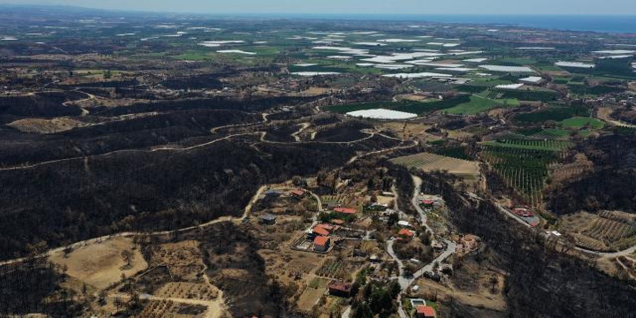 Manavgat'ta yangın bölgesine 1 milyon fidan