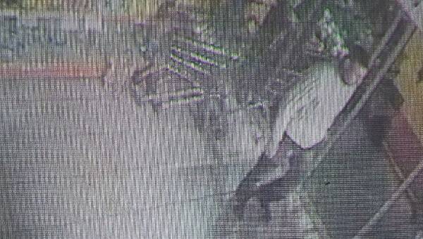 Bisikletli 'rahat hırsız' güvenlik kamerasında!