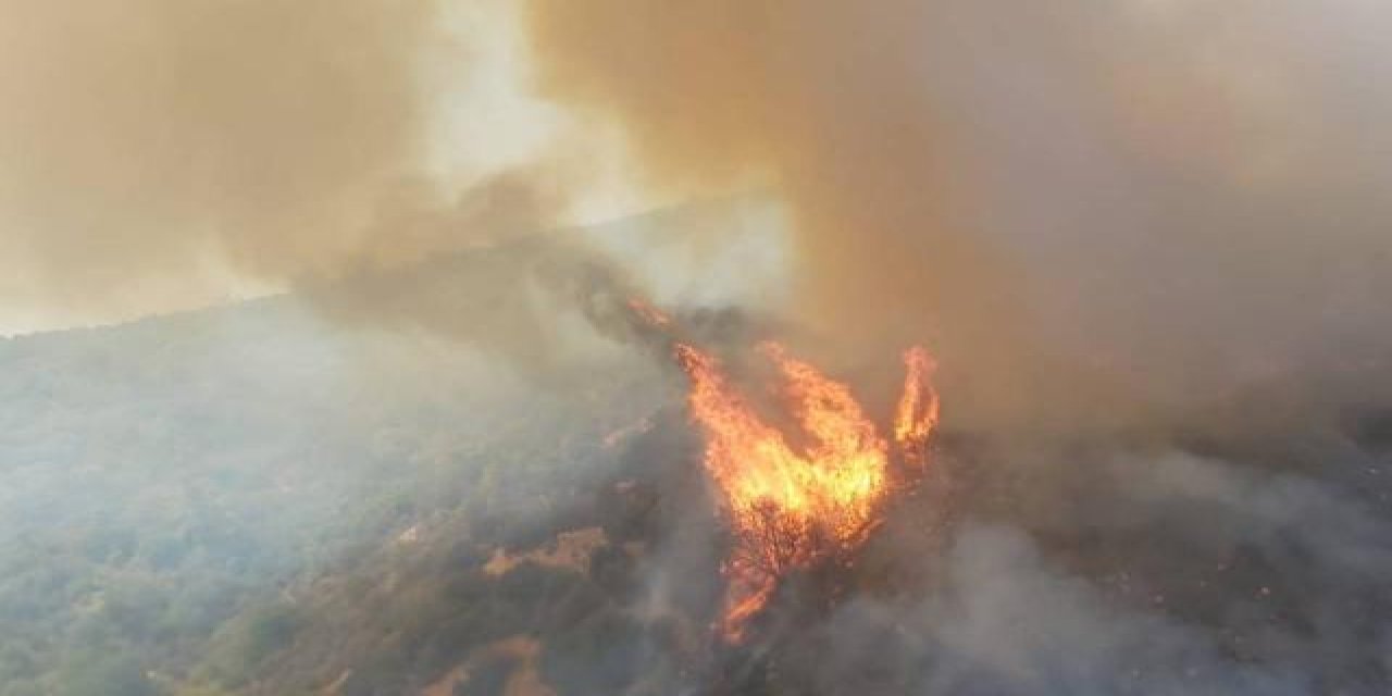 Muğla'da 2 noktada orman yangını çıktı