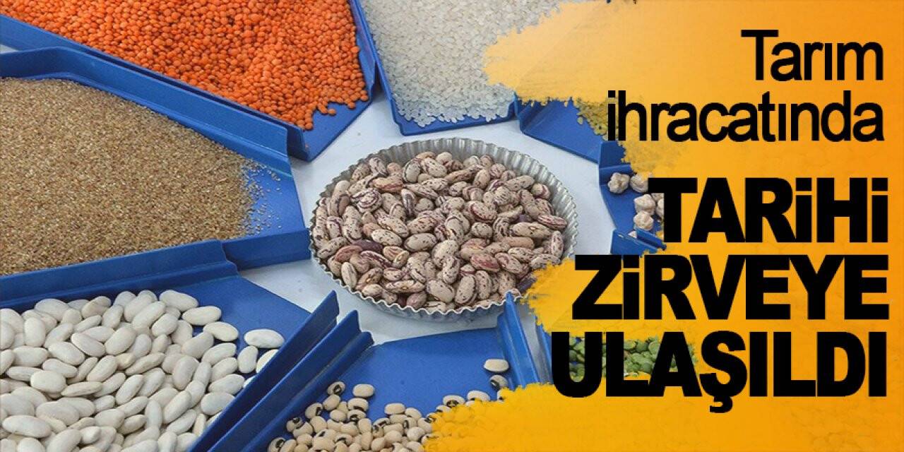 Tarım ihracatında tarihi zirveye ulaşıldı