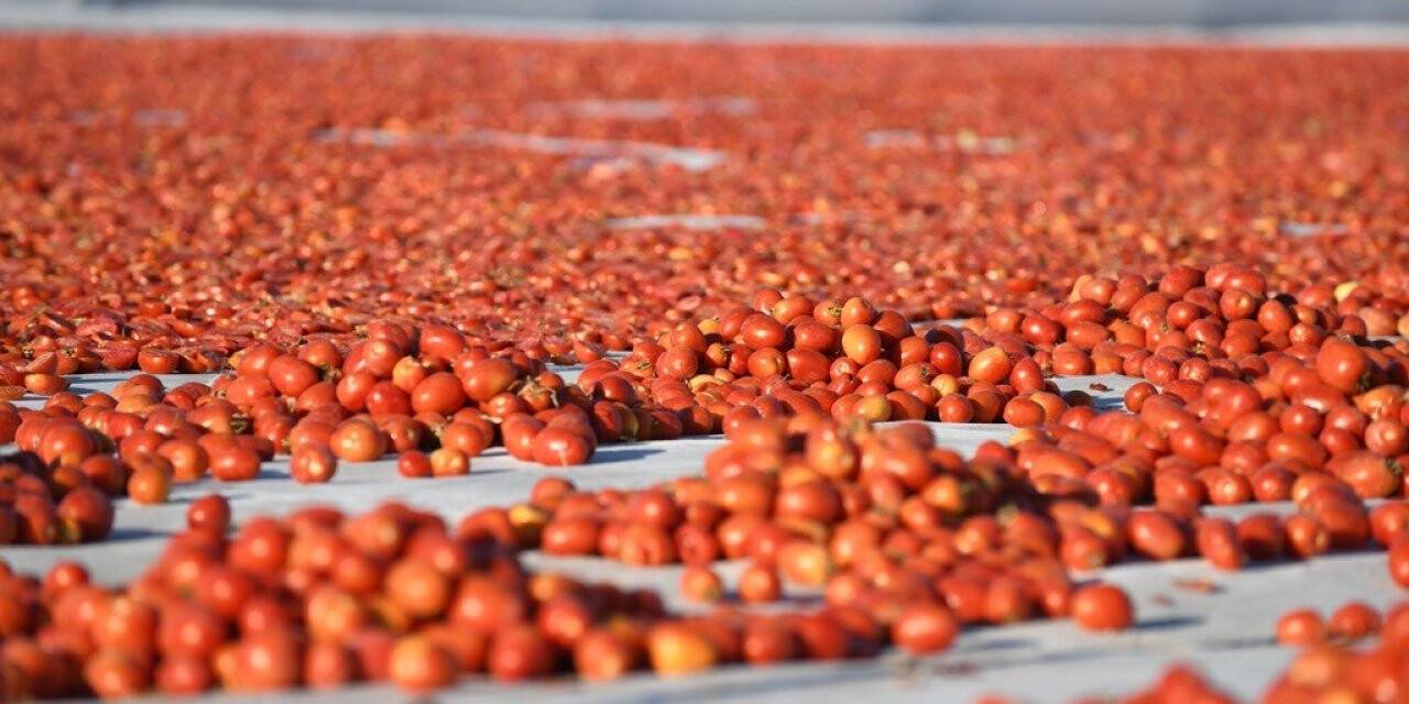 Erciyes’in etekleri kırmızıya boyandı