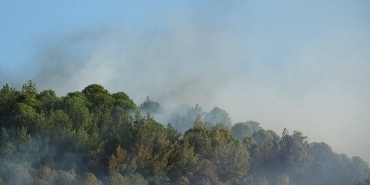 Balıkesir’de çıkan orman yangını kontrol altına alındı