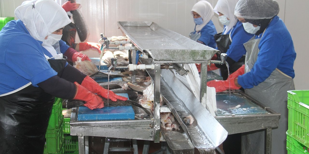 Konya'dan 5 ülkeye deniz ürünü ihracatı