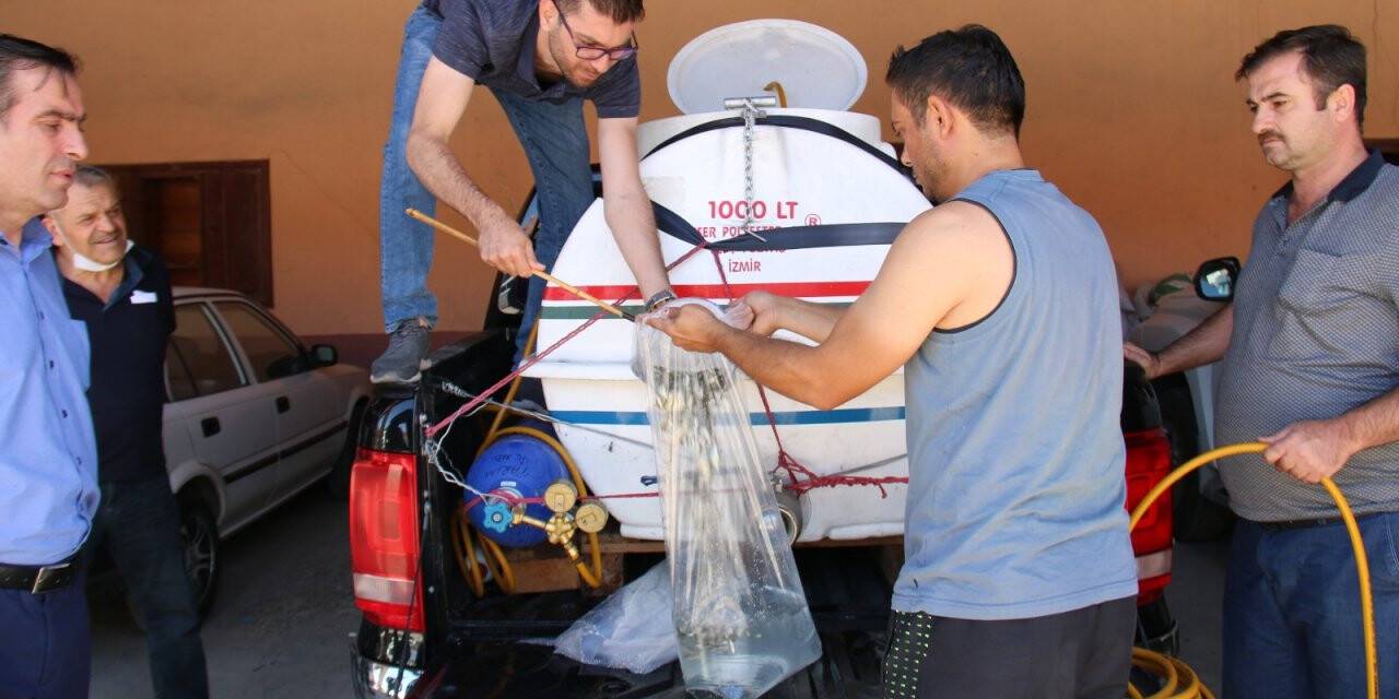 54 göl ve gölete 2 milyonu aşkın sazan yavrusu bırakıldı