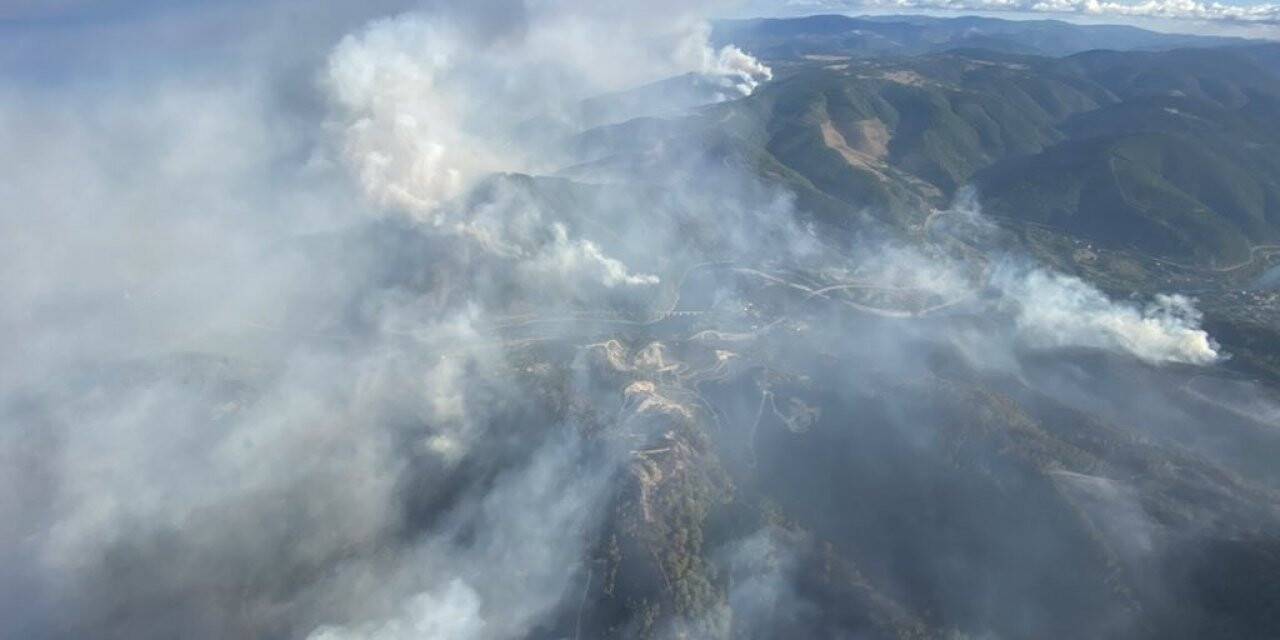 İspanya’da bin 500 hektar ormanlık alan küle dündü