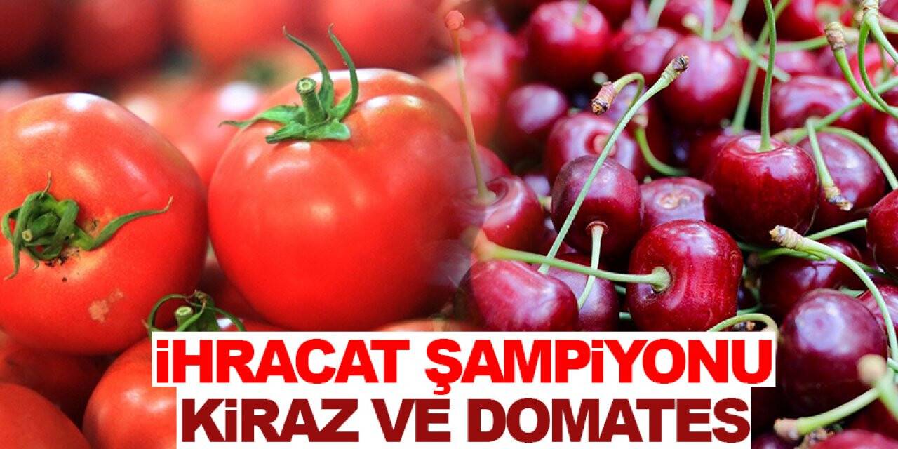 Türkiye'nin 8 aylık yaş meyve sebze ihracatının şampiyonu kiraz ve domates oldu