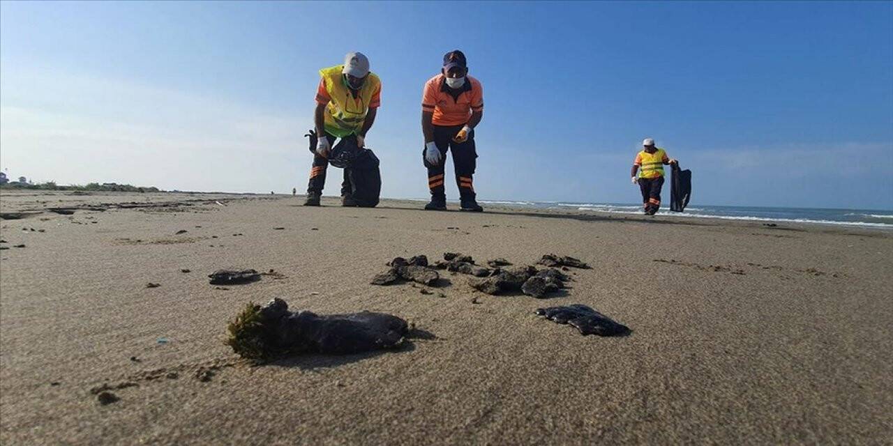 Mersin'de Suriye kaynaklı petrol sızıntısına ilişkin temizlik çalışması başlatıldı