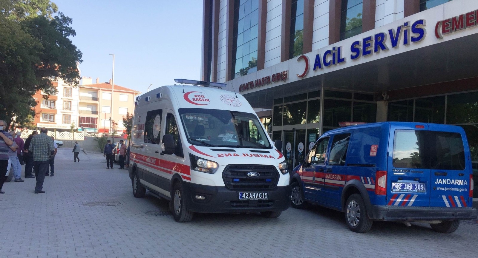 Erzurum'da ayı saldırısında yaralanan çoban tedaviye alındı