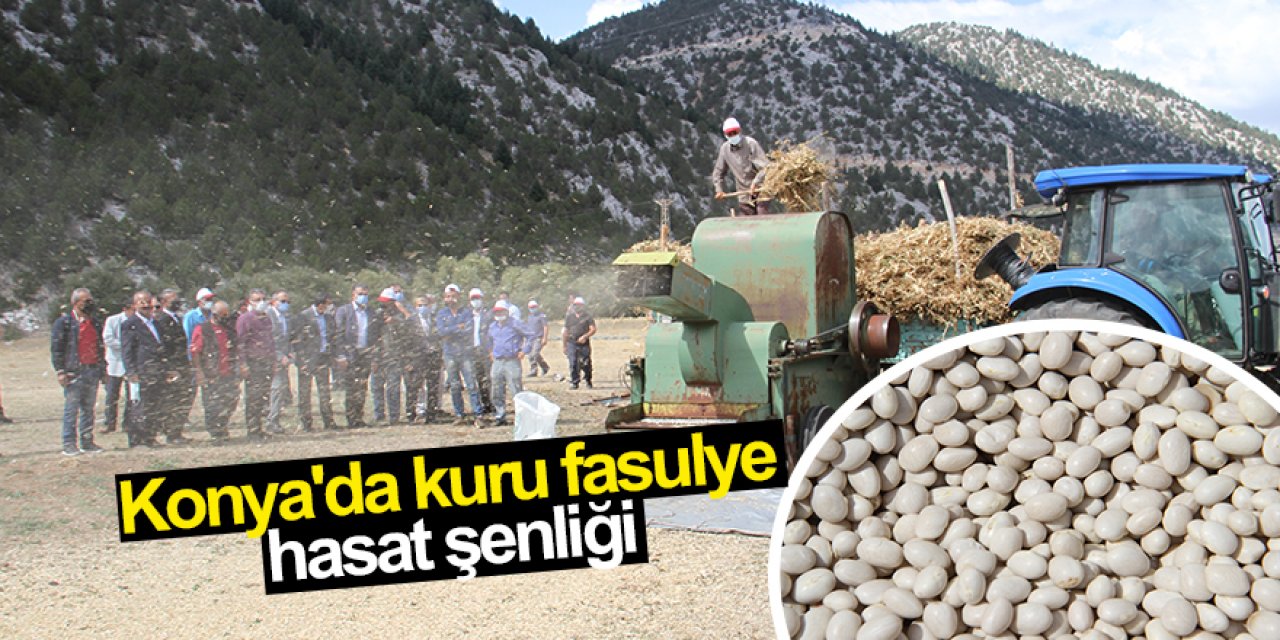Konya'da kuru fasulye hasat şenliği