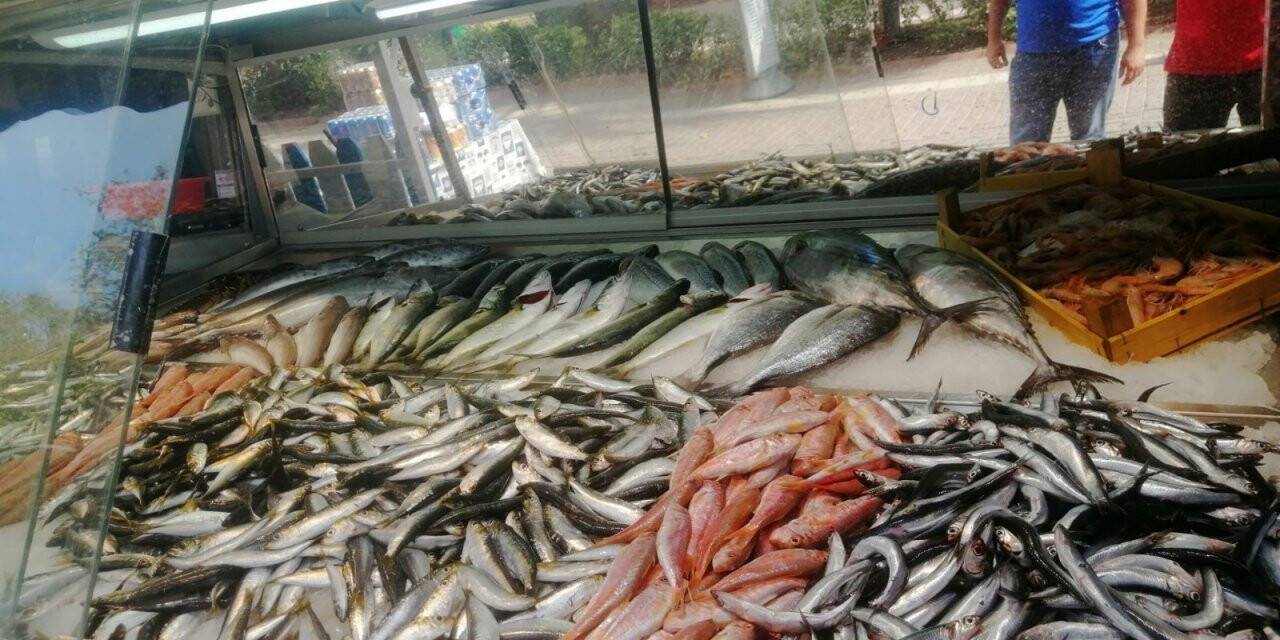 Balık tezgahları şenlendi