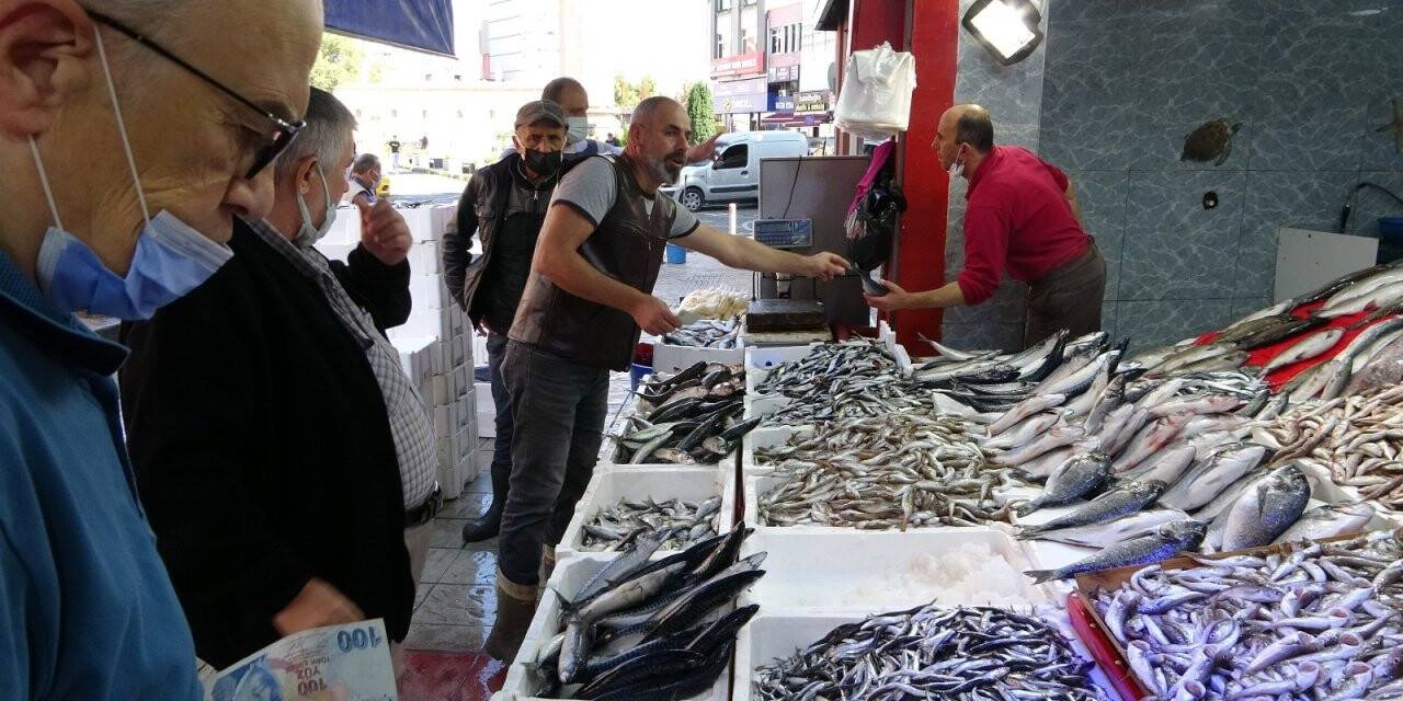 Balık tezgahlarında hamsi günü