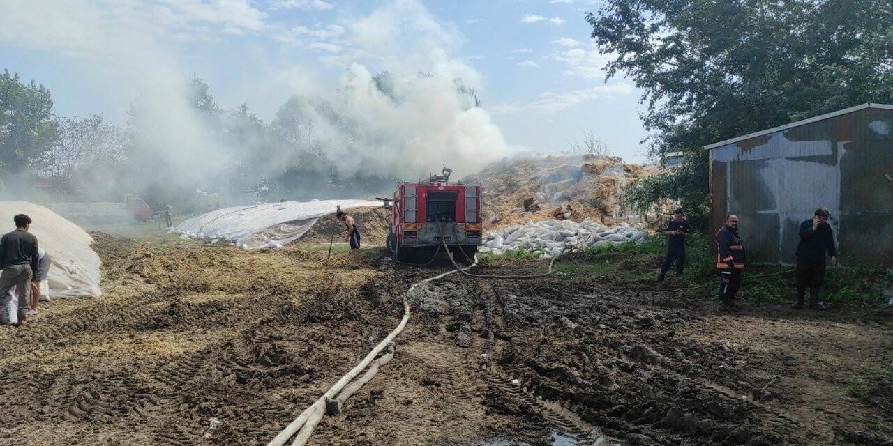 Tonlarca saman alevlere teslim oldu