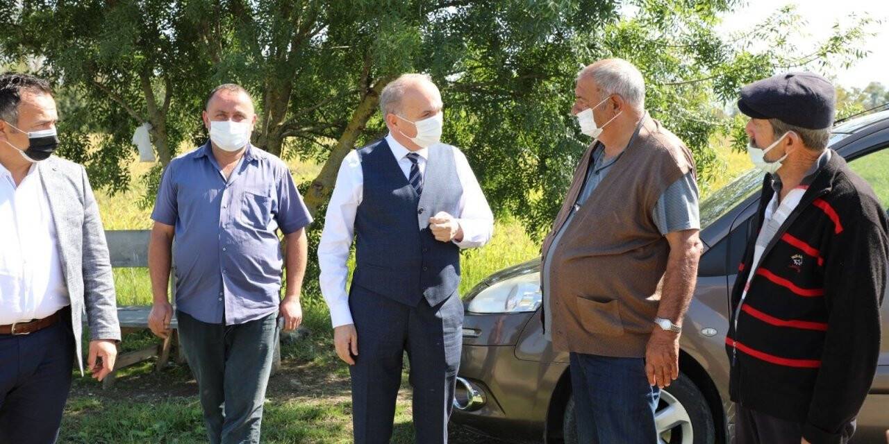 Sarayların vazgeçilmez pirincinin hasadı başlıyor