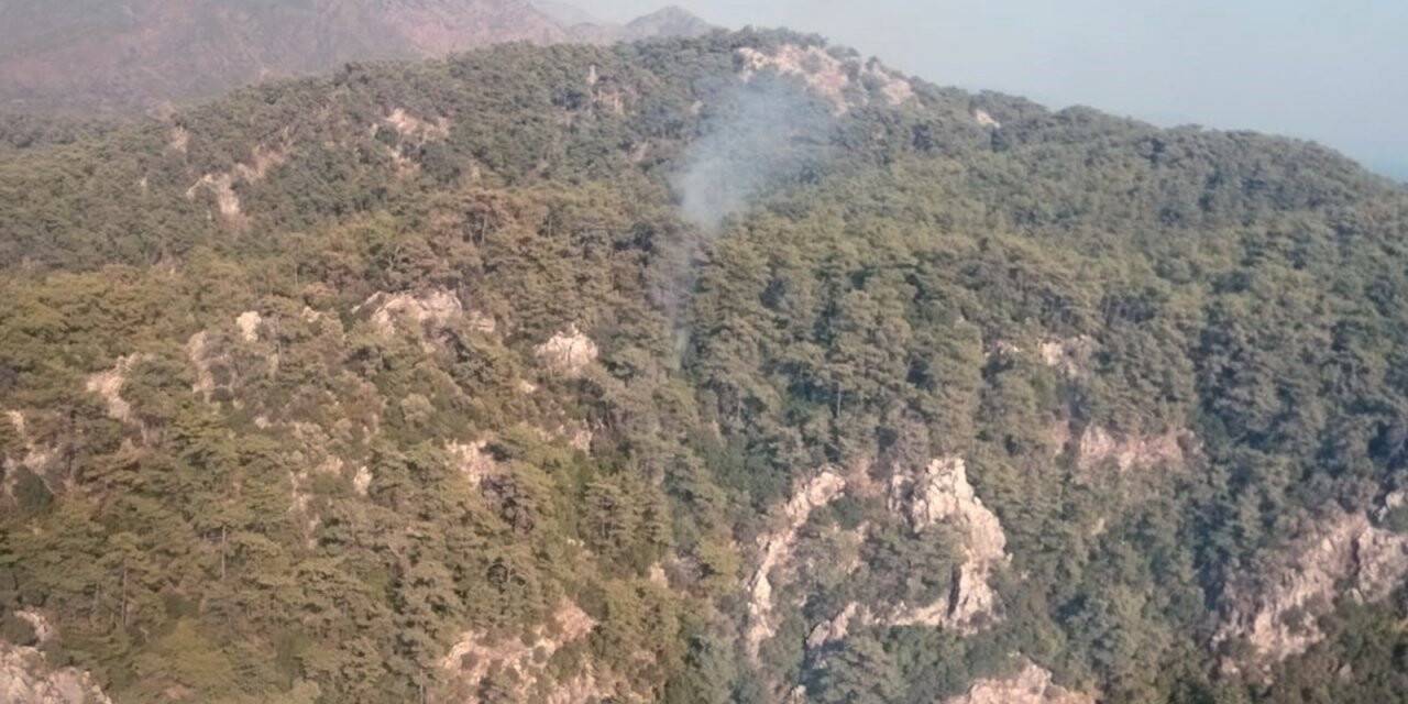 Marmaris’te orman yangını