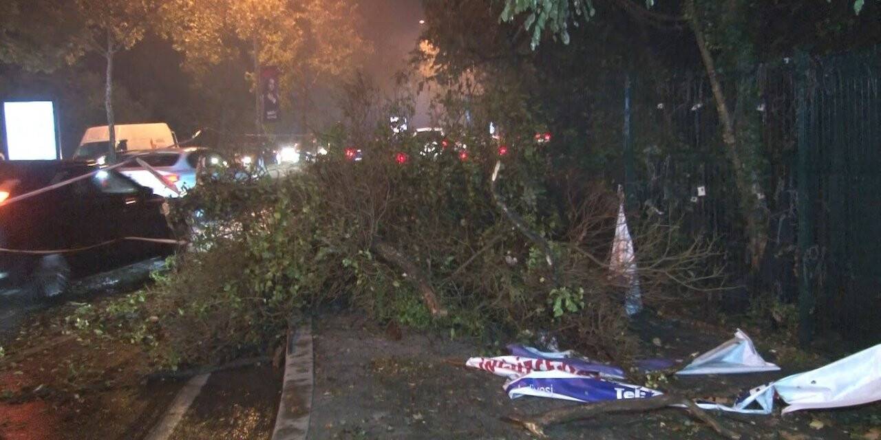 Şiddetli yağış ve rüzgar nedeniyle ağaçlar yola devrildi