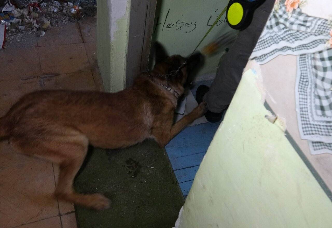 Narkotik köpeği metruk binadaki uyuşturucuyu böyle buldu