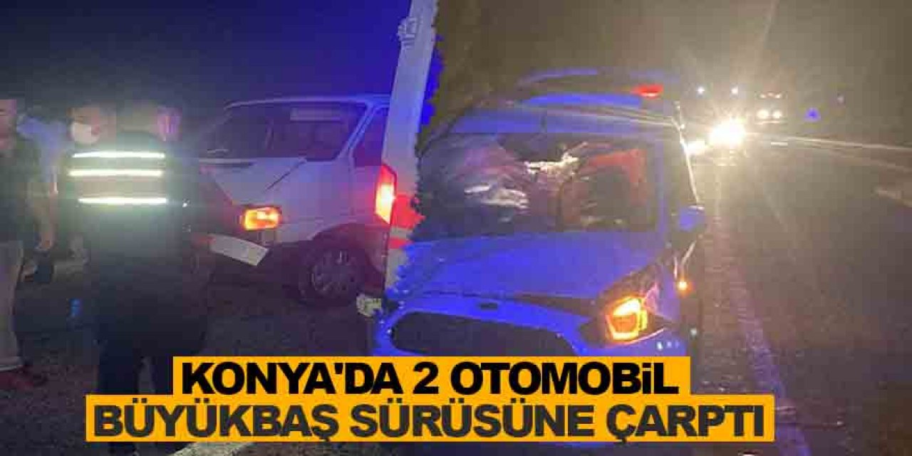 Konya'da 2 otomobil büyükbaş sürüsüne çarptı