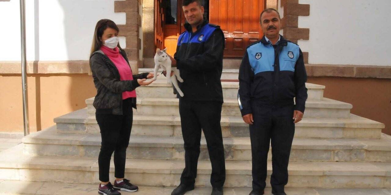 Köpeğin kovaladığı kediyi ağaçtan indirip sahibine teslim etti