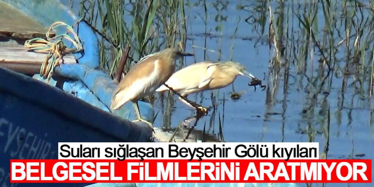 Suları sığlaşan Beyşehir Gölü kıyıları belgesel filmlerini aratmıyor