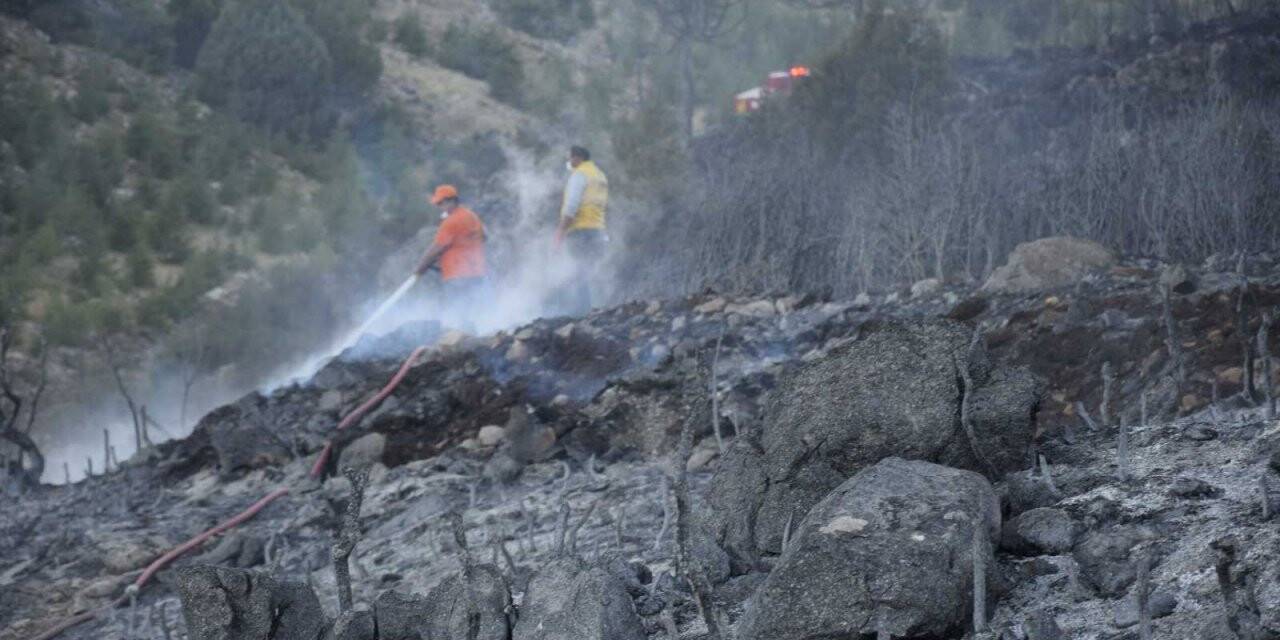 Bucak’taki orman yangını kontrol altına alındı